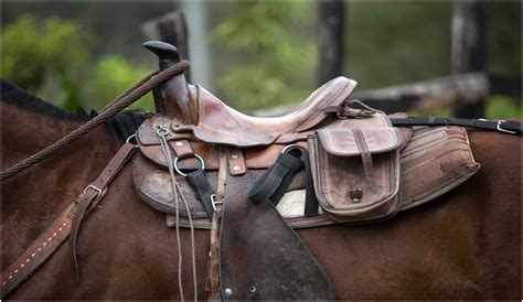 Choosing the Right Saddle Size: Finding the Perfect Fit