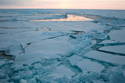 Climate Change: Understanding the Impact on the Polar Regions