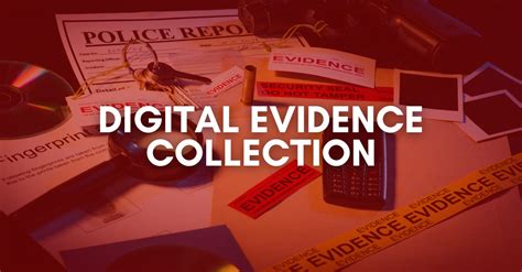 Collecting Evidence: Investigating Authentic Sightings and Testimonies