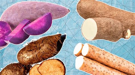 Colorful Journey: Exploring the Spectrum of Yam Varieties