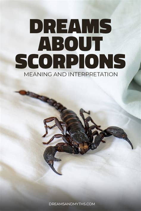 Coming to Terms with Dreams of Combatting Scorpions: Managing Techniques and Advice