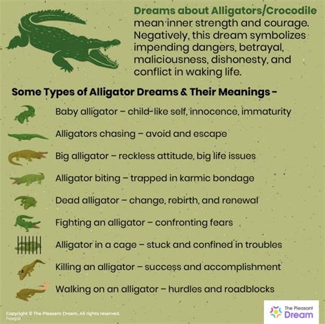 Common Dream Scenarios Featuring Multiple Alligators and Their Interpretations