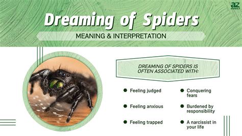 Common Emotions Associated with Dreaming of a Spider on Someone