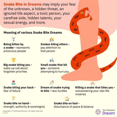 Common Interpretations of Snake Bites on the Left Toe in Dream Scenarios