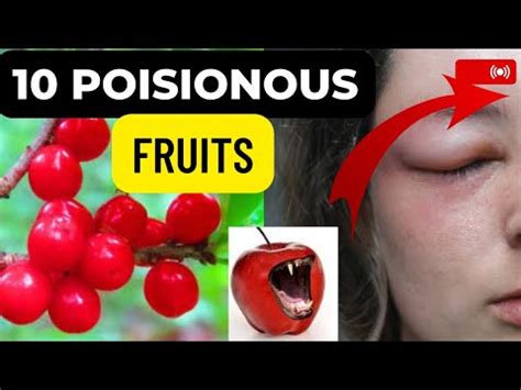 Common Mistakes: How to Identify Harmful Fruit in Your Imagination