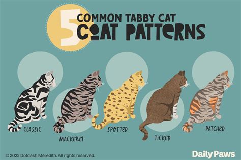 Common Patterns and Variations