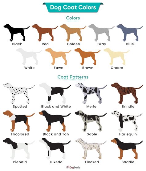 Common Scenarios Involving a Chestnut-Colored Canine and their Meanings