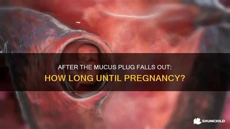 Common Symptoms Experienced after Mucus Plug Dislodgement