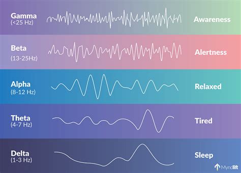 Common Themes: Exploring Patterns and Frequencies in Dream Experiences