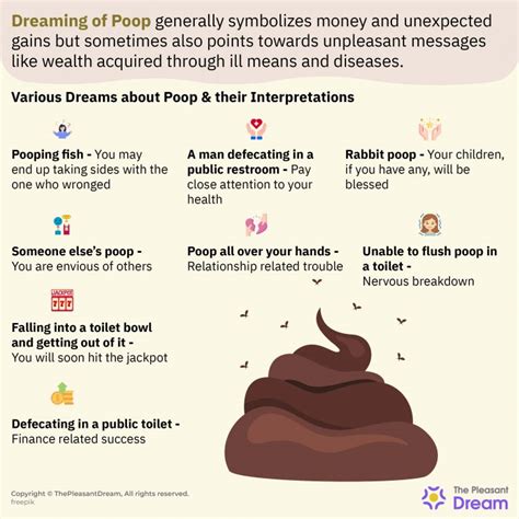 Common variations of dreams related to the urge to defecate and their interpretations