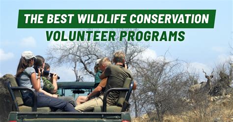 Community-Based Conservation: Empowering Locals to Safeguard Wildlife