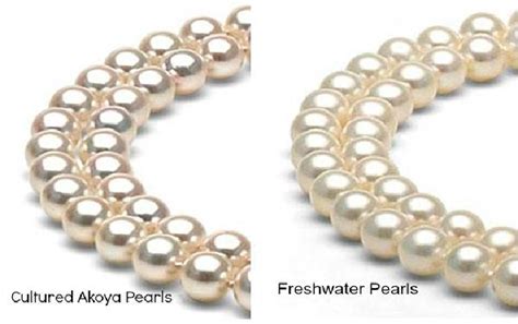 Comparing Natural and Cultured Pearls