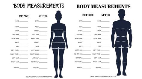 Complete measurements and body statistics