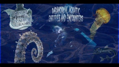 Comprehending the Implications of Distinct Categories of Aquatic Entities