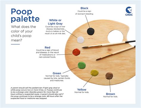 Concerns about White Stool in Children