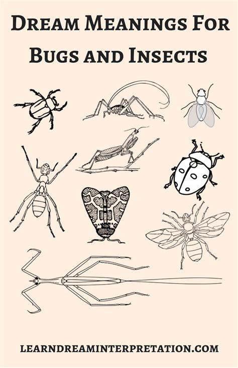 Connecting Dream Symbols: Alternative Interpretations of Pale Insects