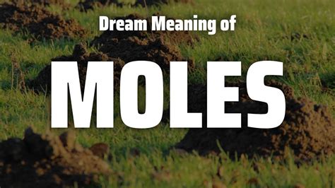 Connecting the Dots: Unraveling the Significance of Mole Dreams