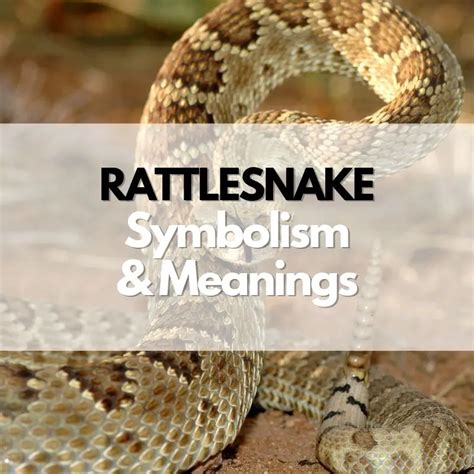 Connecting the Symbolic Rattlesnake with Your Personal Life and Emotions