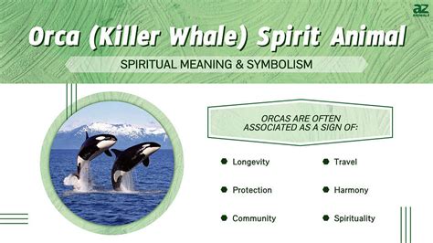 Connecting to Inner Guidance: Exploring the Symbolic Significance of Encounter with Powerful Orca
