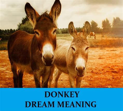 Connecting with Inner Strength and Guidance through Donkey Dreams