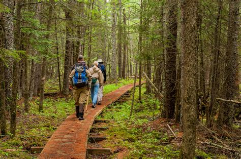 Connecting with Nature: Exploring National Parks and Scenic Routes