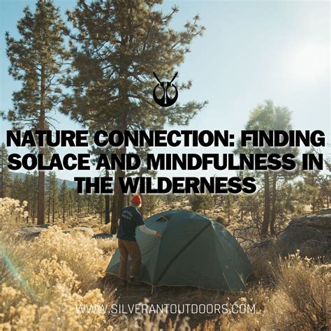 Connecting with Nature: Seeking Solace in the Wilderness