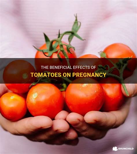 Connecting with nature: exploring the relationship between tomatoes and dreams experienced during pregnancy