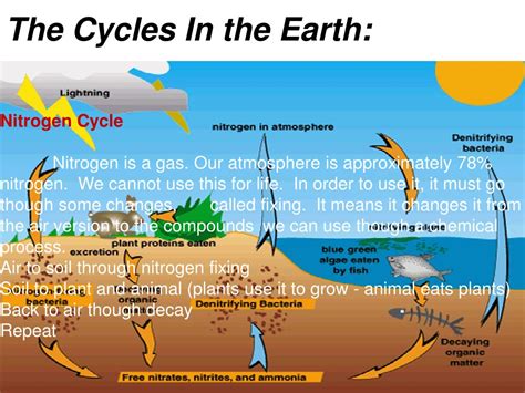 Connecting with the Earth's Cycle of Growth