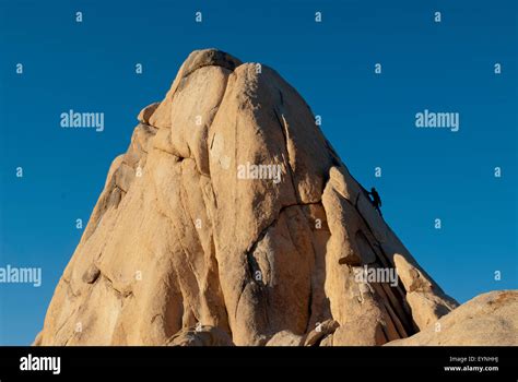 Conquer the Majestic Granite Monoliths: Rock Climbing in Joshua Tree