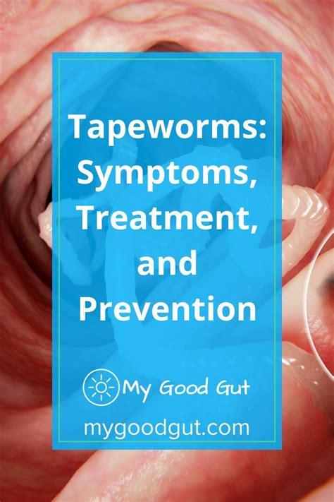 Conquering the Foe: Effective Strategies for Tapeworm Prevention and Treatment