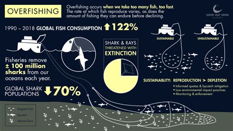 Conservation Challenges: The Impact of Trophy Fishing on Large Fish Populations