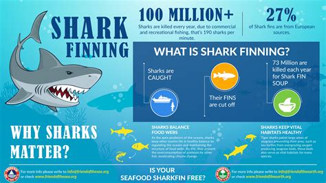 Conservation Efforts to Safeguard Sharks and Preserve their Fins