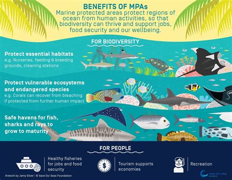 Conservation and Protection of Marine Resources: Preserving the Majesty of the Boundless Sea