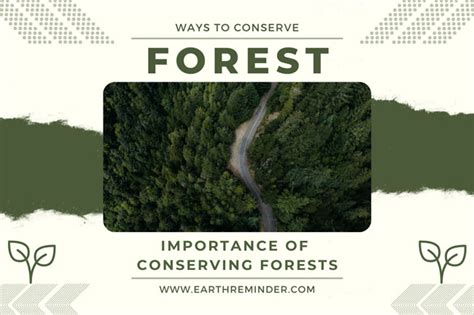 Conserving and Safeguarding the Majestic Forest Dwellers