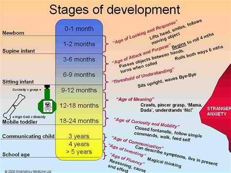 Considering Age and Developmental Stage