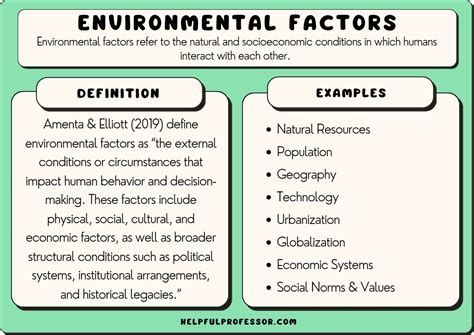 Contributions to Social and Environmental Causes