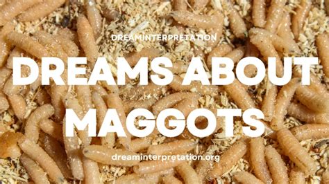 Coping with the Dark and Unsettling Imagery of Maggot Dreams