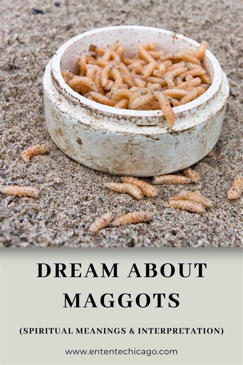 Coping with the Fear and Distress of Maggot Dreams