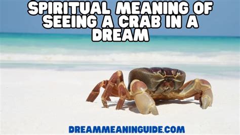 Crabs as a Symbol of Transformation