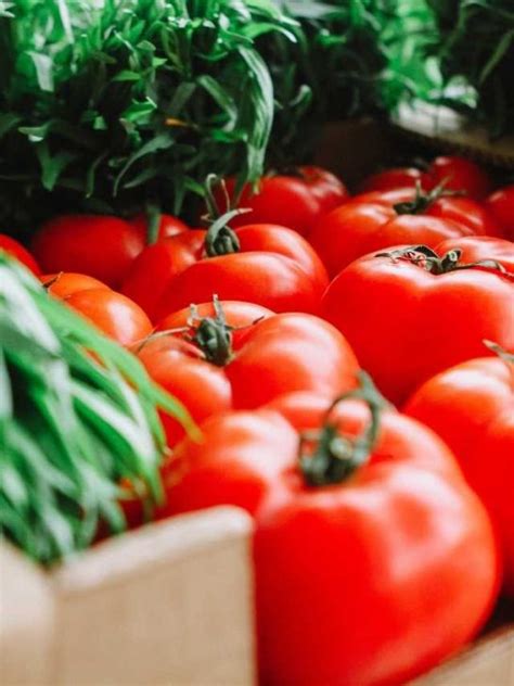 Cracking Open the Deep Significance of Ripe Tomatoes in Dreamscape