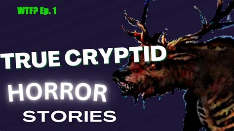 Cracking the Code: Scientists' Analysis of Cryptid Sightings and Encounters