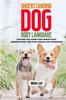 Cracking the Code: Understanding Canine Gestures