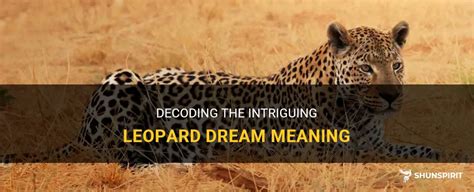 Cracking the Enigma: Decoding the Leopard's Language in Dream Realm