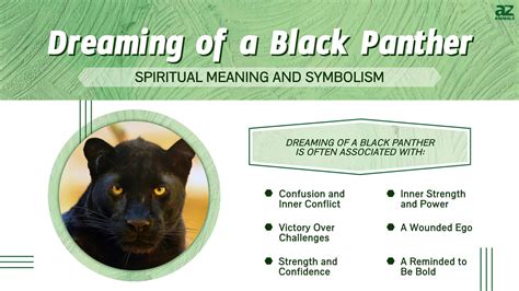 Cracking the Enigmatic Symbols of a Dreaming Panther