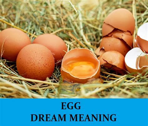 Cracking the Mystery: Unveiling the Profound Symbolism behind Dreams of Producing Eggs