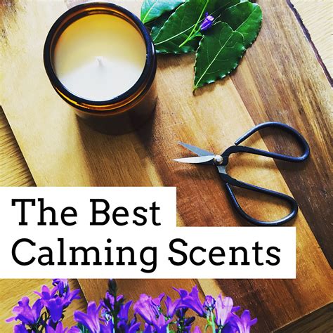 Create a Relaxing Ambiance with Calming Scents