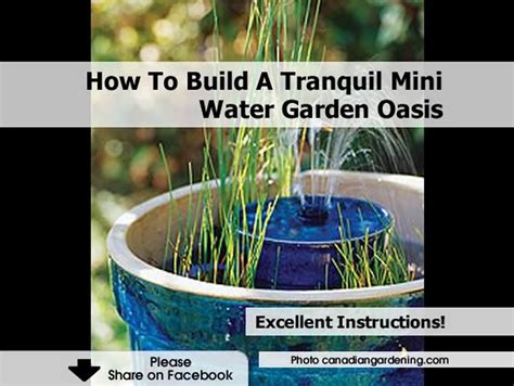 Creating Your Own Peaceful Water Garden: Tips for Designing and Maintaining a Tranquil Oasis