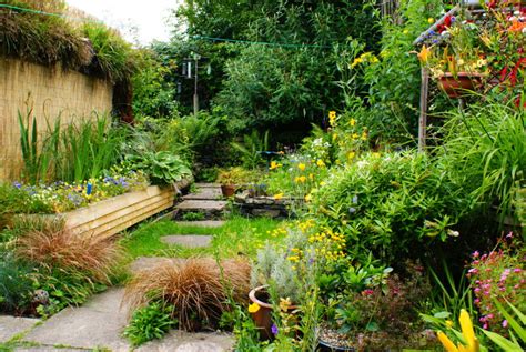 Creating Your Own Personal Wildlife Haven