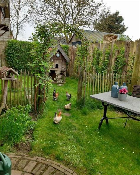 Creating a Cozy Chicken Coop: Providing a Comfortable Haven for Your Feathered Friends