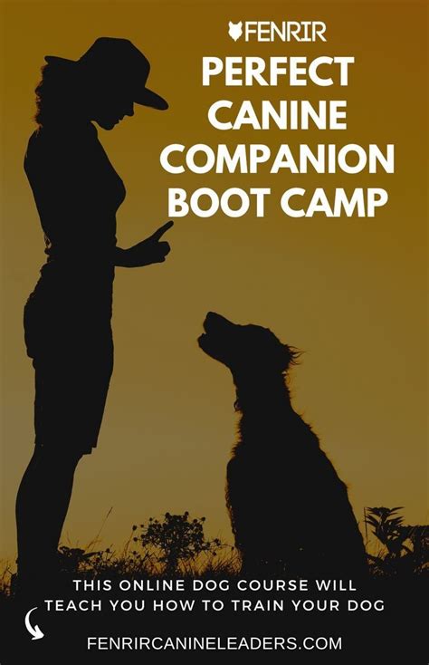 Creating a Harmonious Pack: Training and Socializing Multiple Canine Companions